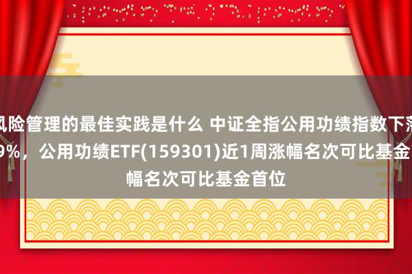 风险管理的最佳实践是什么 中证全指公用功绩指数下落0.79%，公用功绩ETF(159301)近1周涨幅名次可比基金首位