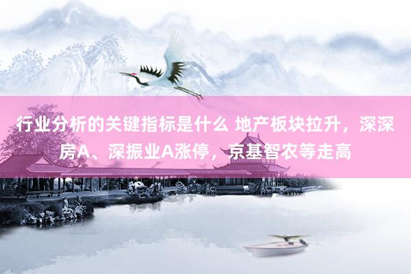 行业分析的关键指标是什么 地产板块拉升，深深房A、深振业A涨停，京基智农等走高