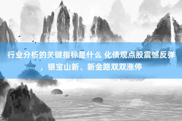 行业分析的关键指标是什么 化债观点股震憾反弹，银宝山新、新金路双双涨停