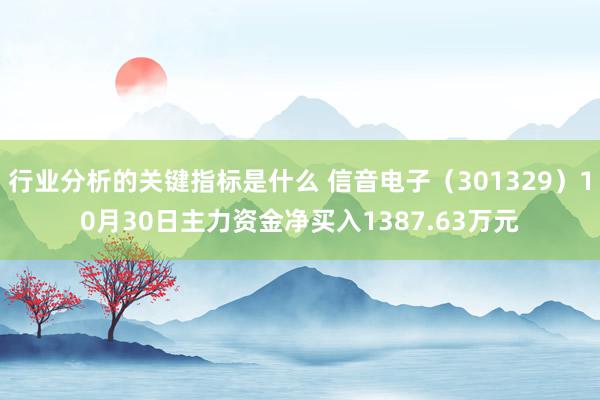 行业分析的关键指标是什么 信音电子（301329）10月30日主力资金净买入1387.63万元