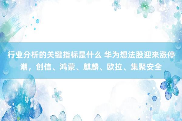 行业分析的关键指标是什么 华为想法股迎来涨停潮，创信、鸿蒙、麒麟、欧拉、集聚安全