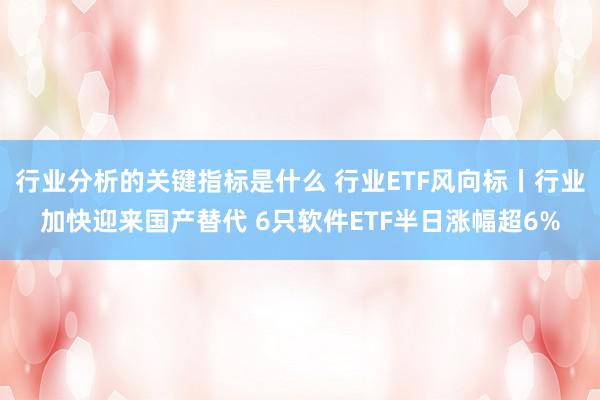 行业分析的关键指标是什么 行业ETF风向标丨行业加快迎来国产替代 6只软件ETF半日涨幅超6%