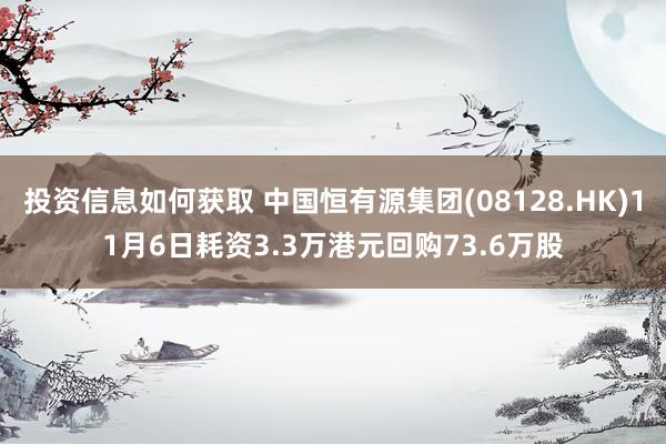 投资信息如何获取 中国恒有源集团(08128.HK)11月6日耗资3.3万港元回购73.6万股