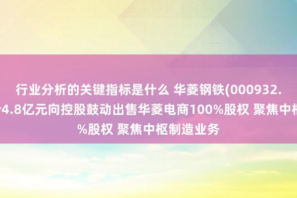 行业分析的关键指标是什么 华菱钢铁(000932.SZ)拟作价4.8亿元向控股鼓动出售华菱电商100%股权 聚焦中枢制造业务