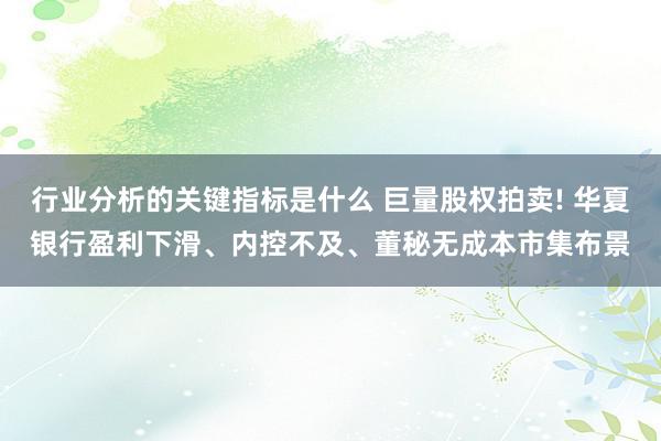 行业分析的关键指标是什么 巨量股权拍卖! 华夏银行盈利下滑、内控不及、董秘无成本市集布景