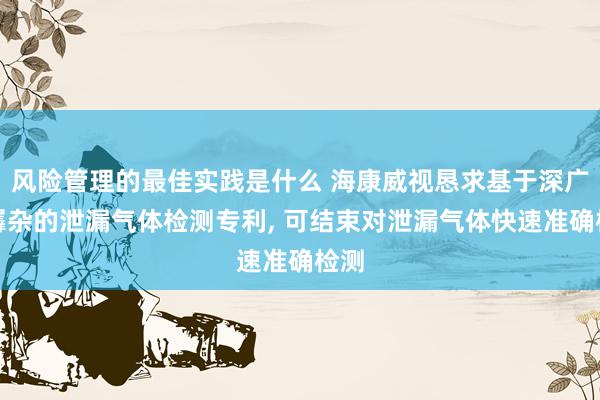 风险管理的最佳实践是什么 海康威视恳求基于深广据羼杂的泄漏气体检测专利, 可结束对泄漏气体快速准确检测