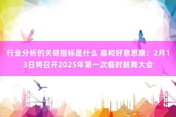 行业分析的关键指标是什么 嘉和好意思康：2月13日将召开2025年第一次临时鼓舞大会