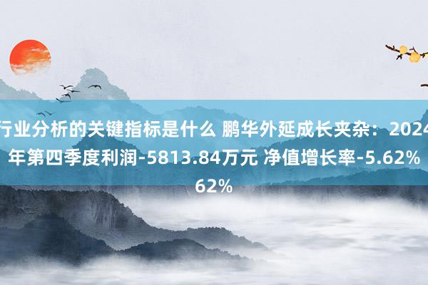 行业分析的关键指标是什么 鹏华外延成长夹杂：2024年第四季度利润-5813.84万元 净值增长率-5.62%