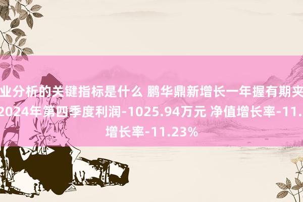 行业分析的关键指标是什么 鹏华鼎新增长一年握有期夹杂A：2024年第四季度利润-1025.94万元 净值增长率-11.23%