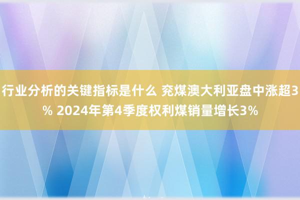 行业分析的关键指标是什么 兖煤澳大利亚盘中涨超3% 2024年第4季度权利煤销量增长3%