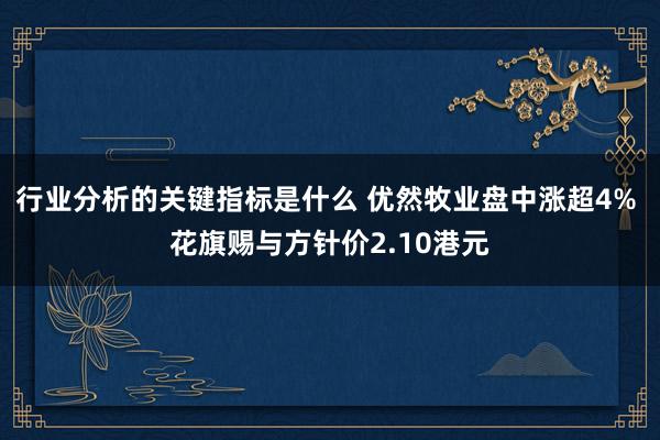 行业分析的关键指标是什么 优然牧业盘中涨超4% 花旗赐与方针价2.10港元