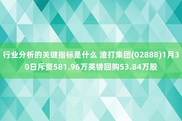 行业分析的关键指标是什么 渣打集团(02888)1月30日斥