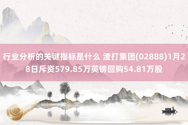 行业分析的关键指标是什么 渣打集团(02888)1月28日斥