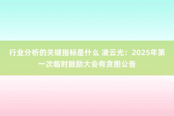 行业分析的关键指标是什么 凌云光：2025年第一次临时鼓励大会有贪图公告