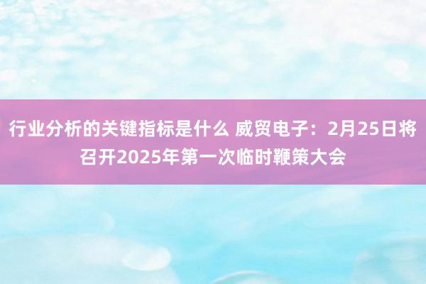 行业分析的关键指标是什么 威贸电子：2月25日将召开2025年第一次临时鞭策大会