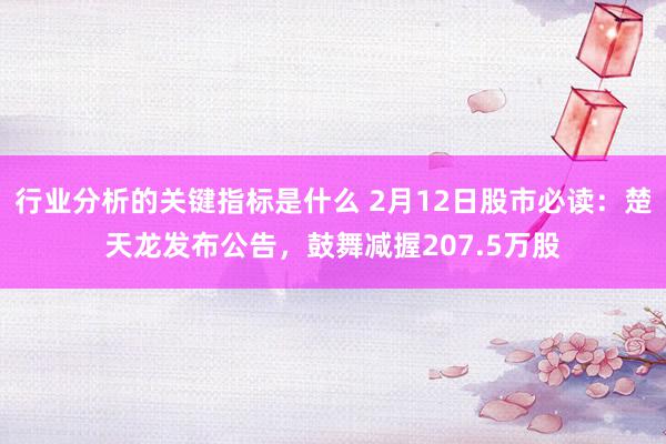 行业分析的关键指标是什么 2月12日股市必读：楚天龙发布公告，鼓舞减握207.5万股