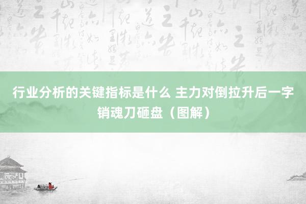 行业分析的关键指标是什么 主力对倒拉升后一字销魂刀砸盘（图解）