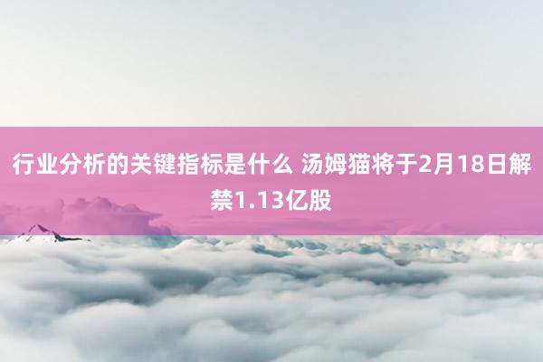 行业分析的关键指标是什么 汤姆猫将于2月18日解禁1.13亿股