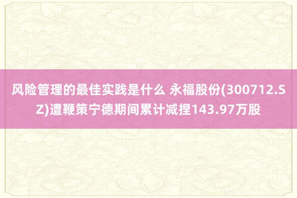 风险管理的最佳实践是什么 永福股份(300712.SZ)遭鞭策宁德期间累计减捏143.97万股