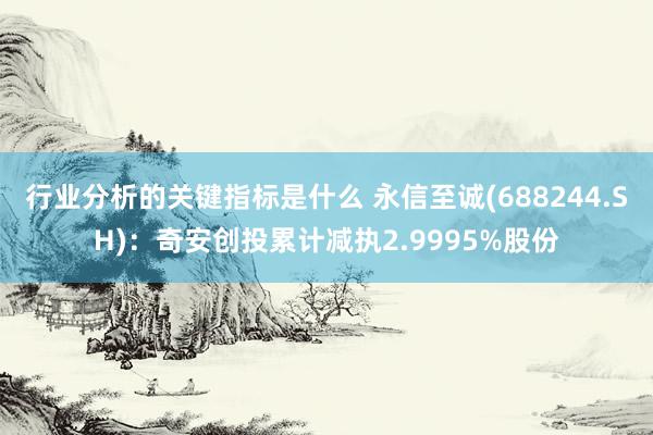 行业分析的关键指标是什么 永信至诚(688244.SH)：奇安创投累计减执2.9995%股份