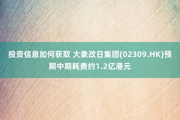 投资信息如何获取 大象改日集团(02309.HK)预期中期耗费约1.2亿港元