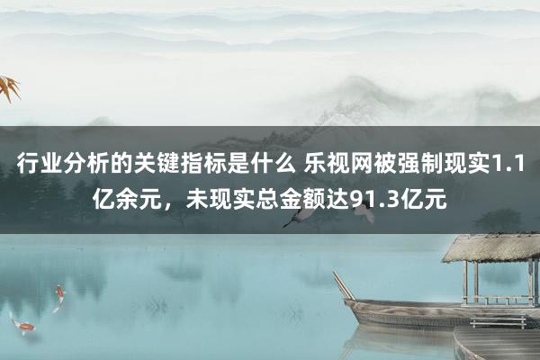 行业分析的关键指标是什么 乐视网被强制现实1.1亿余元，未现实总金额达91.3亿元