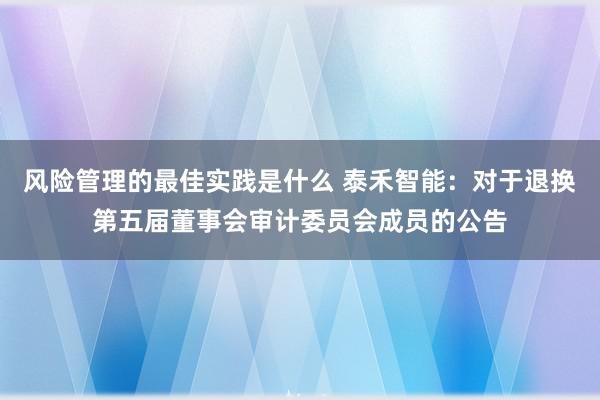 风险管理的最佳实践是什么 泰禾智能：对于退换第五届董事会审计委员会成员的公告