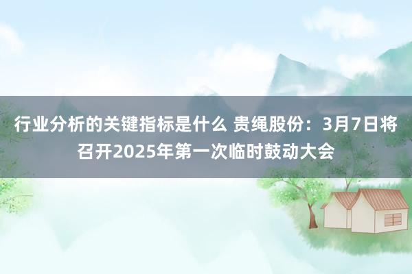 行业分析的关键指标是什么 贵绳股份：3月7日将召开2025年第一次临时鼓动大会