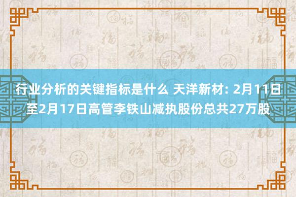 行业分析的关键指标是什么 天洋新材: 2月11日至2月17日高管李铁山减执股份总共27万股