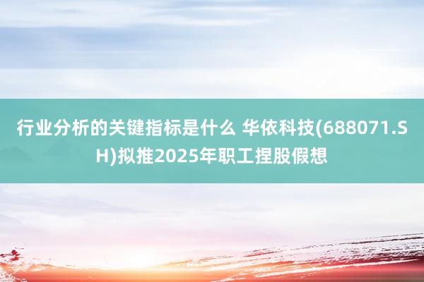 行业分析的关键指标是什么 华依科技(688071.SH)拟推2025年职工捏股假想