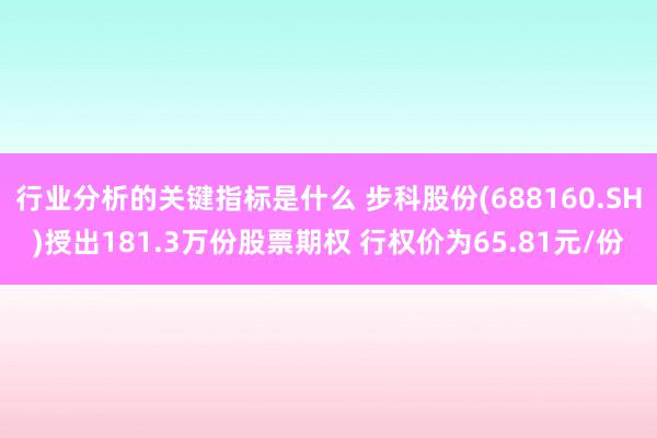 行业分析的关键指标是什么 步科股份(688160.SH)授出181.3万份股票期权 行权价为65.81元/份