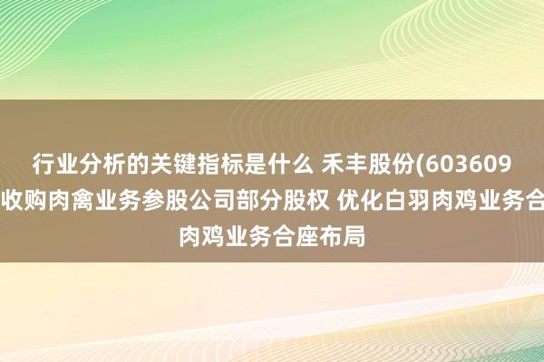 行业分析的关键指标是什么 禾丰股份(603609.SH)拟收购肉禽业务参股公司部分股权 优化白羽肉鸡业务合座布局