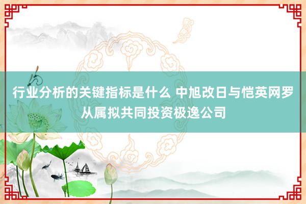 行业分析的关键指标是什么 中旭改日与恺英网罗从属拟共同投资极逸公司