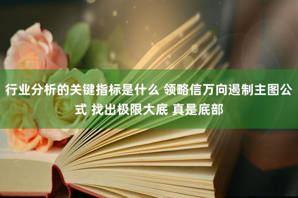 行业分析的关键指标是什么 领略信万向遏制主图公式 找出极限大底 真是底部