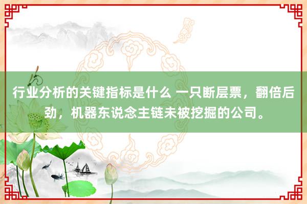 行业分析的关键指标是什么 一只断层票，翻倍后劲，机器东说念主链未被挖掘的公司。