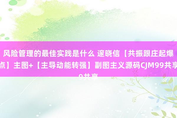 风险管理的最佳实践是什么 邃晓信【共振跟庄起爆点】主图+【主导动能转强】副图主义源码CJM99共享