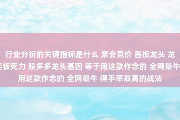 行业分析的关键指标是什么 聚会竞价 首板龙头 龙头基因 龙头驱动 连板死力 股多多龙头基因 等于用这款作念的 全网最牛 得手率最高的战法