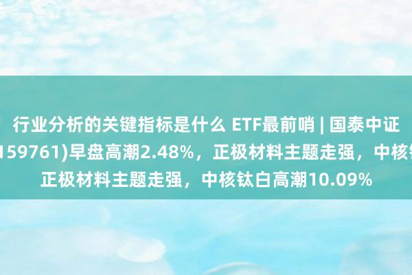 行业分析的关键指标是什么 ETF最前哨 | 国泰中证新材料主题ETF(159761)早盘高潮2.48%，正极材料主题走强，中核钛白高潮10.09%