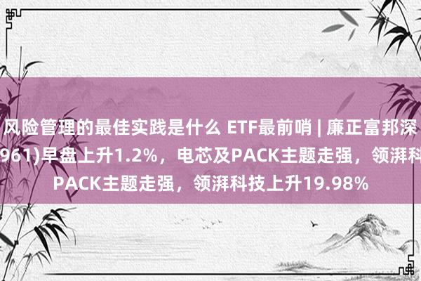 风险管理的最佳实践是什么 ETF最前哨 | 廉正富邦深证100ETF(159961)早盘上升1.2%，电芯及PACK主题走强，领湃科技上升19.98%