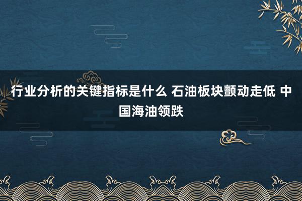 行业分析的关键指标是什么 石油板块颤动走低 中国海油领跌