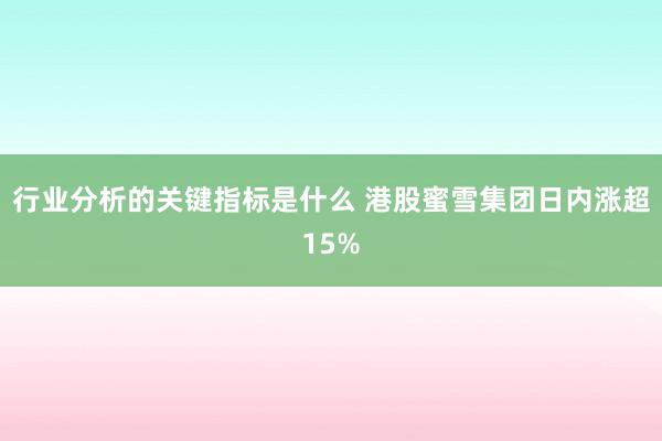 行业分析的关键指标是什么 港股蜜雪集团日内涨超15%