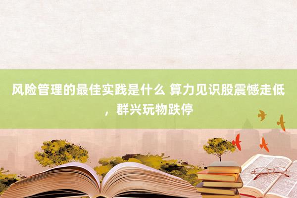 风险管理的最佳实践是什么 算力见识股震憾走低，群兴玩物跌停