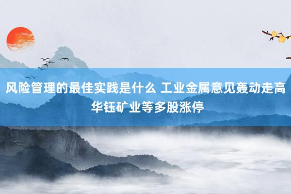 风险管理的最佳实践是什么 工业金属意见轰动走高 华钰矿业等多股涨停