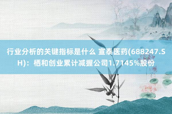 行业分析的关键指标是什么 宣泰医药(688247.SH)：栖和创业累计减握公司1.7145%股份