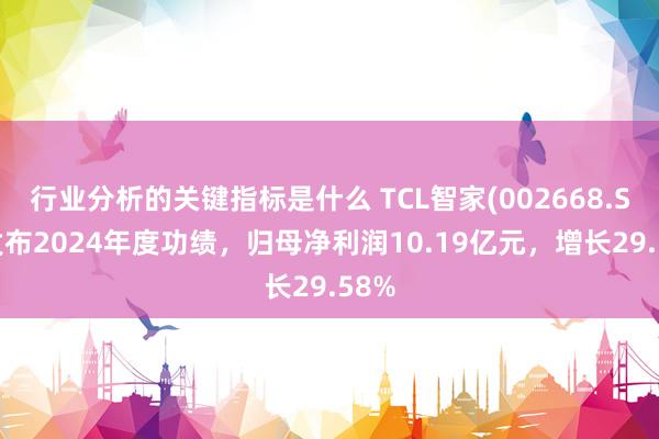 行业分析的关键指标是什么 TCL智家(002668.SZ)发布2024年度功绩，归母净利润10.19亿元，增长29.58%