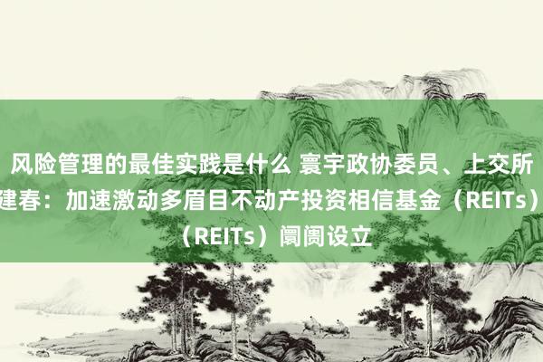 风险管理的最佳实践是什么 寰宇政协委员、上交所总司理蔡建春：加速激动多眉目不动产投资相信基金（REITs）阛阓设立