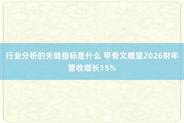 行业分析的关键指标是什么 甲骨文瞻望2026财年营收增长15