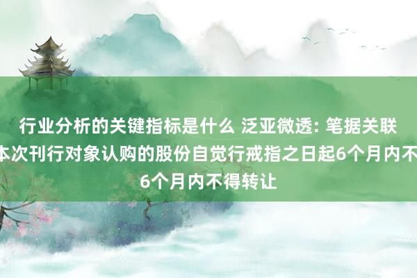 行业分析的关键指标是什么 泛亚微透: 笔据关联限定, 本次刊