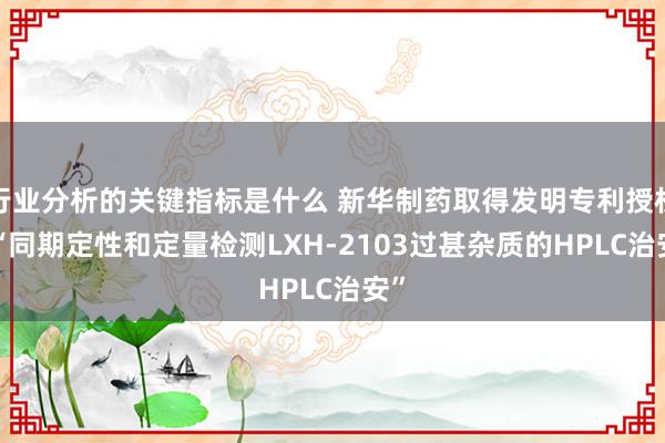 行业分析的关键指标是什么 新华制药取得发明专利授权: “同期