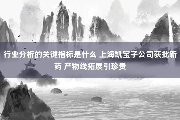 行业分析的关键指标是什么 上海凯宝子公司获批新药 产物线拓展